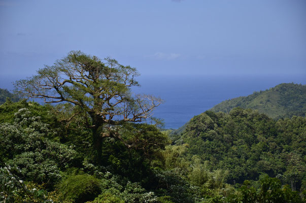 Grenada - Landschaft