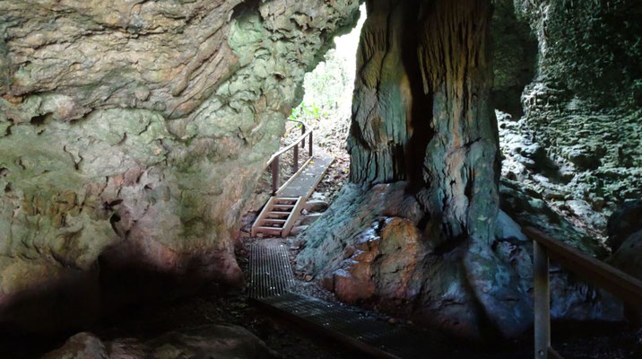 Niue Grotte