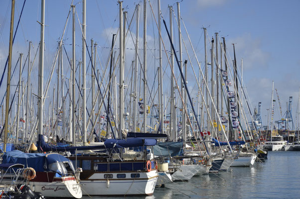 Marina Las Palmas voll mit Yachten der ARC