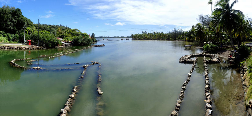 Huahine: Fischfallen