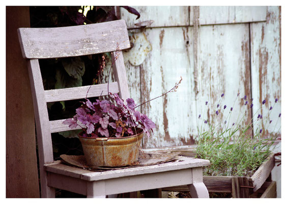 rosa Stuhl mit Pflanze Nr. 145