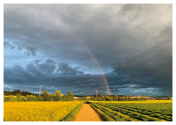 Regenbogen Nr. 112