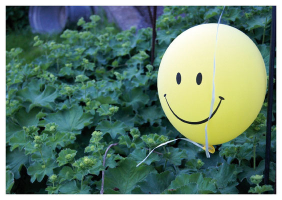 Smily auf Frauenmantel Nr. 132