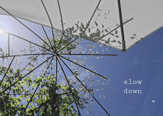 slow down