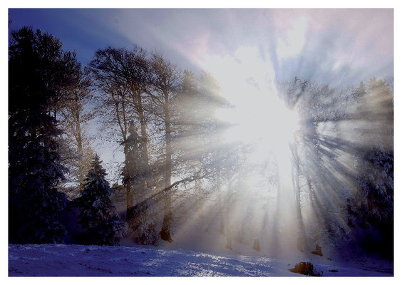 strahlendes Winterlicht Nr. 512