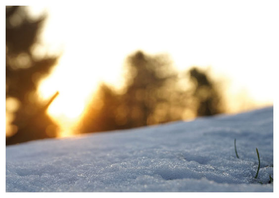Winterlicht am Morgen Nr. 513