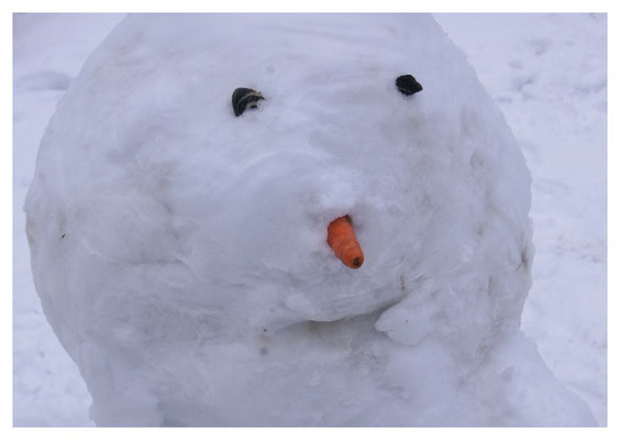 Schneemann Nr. 500