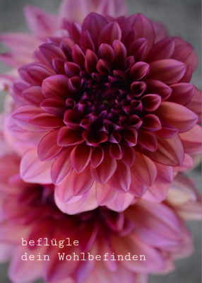 Beflügle dein Wohlbefinden