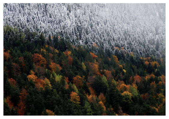 Schneegrenze Nr. 516