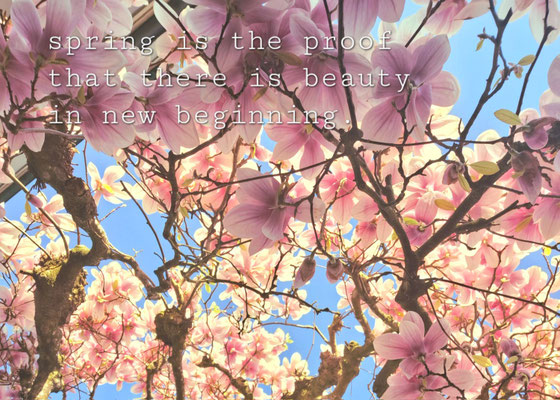 Spring beauty