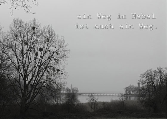 Ein Weg im Nebel...