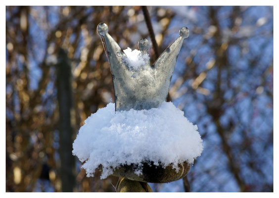 Krone auf Schnee Nr. 506