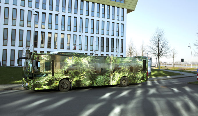 "Forest Bus,"  ©Ellen Bornkessel