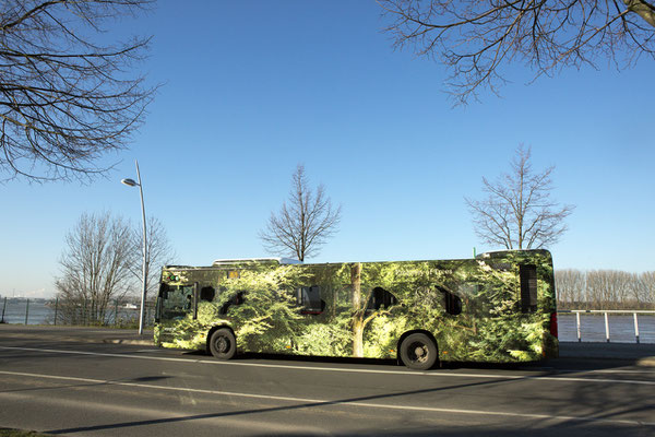 "Forest Bus,"  ©Ellen Bornkessel