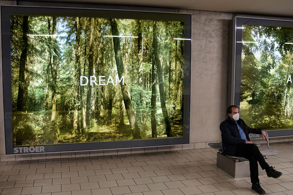 Embassy of Trees: "Forest Dream"  Ellen Bornkessel