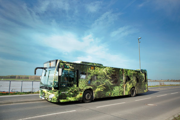 "Forest Bus," Klimakunst, mobile Fotoinstallation, Monheim Rhein, ©Ellen Bornkessel