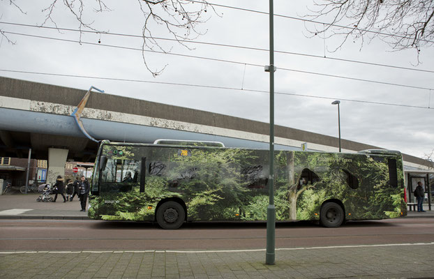 "Forest Bus,"©Ellen Bornkessel