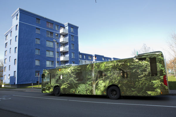 "Forest Bus,"  ©Ellen Bornkessel