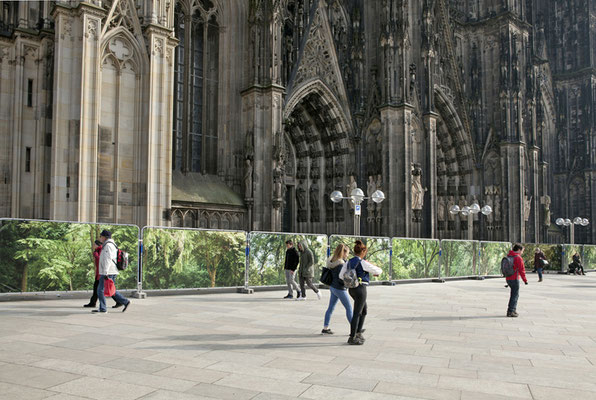 Ellen Bornkessel: "Embassy of Trees", Fotoinstallation vor dem Weltkulturerbe Kölner Dom, 2018