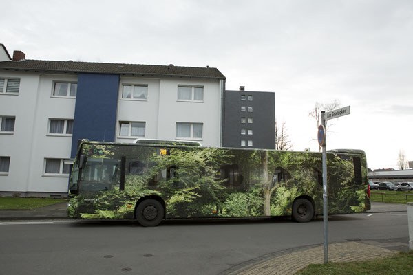 "Forest Bus," ©Ellen Bornkessel