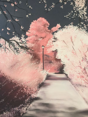 La vie en rose - 80x60cm encadré - Vendu