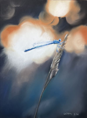 Rosée de libellule - Vendu