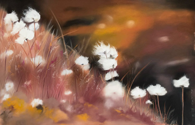 Un vent de liberté - 60x 80 cm encadré- vendu