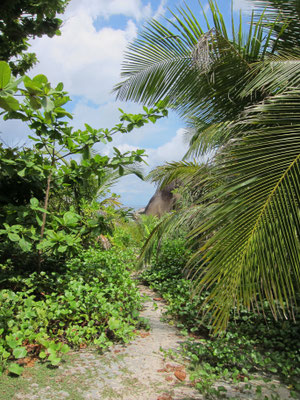 Koh Similan