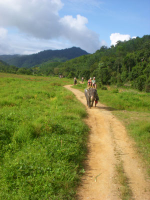 Elefantenreiten Khao Sok Nationalpark