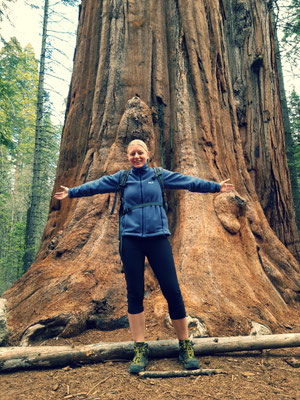 Mariposa Grove