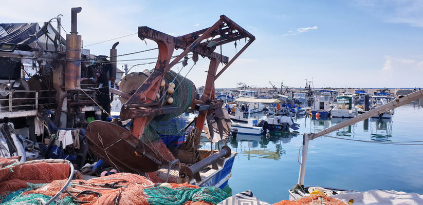 Jaffa Hafen