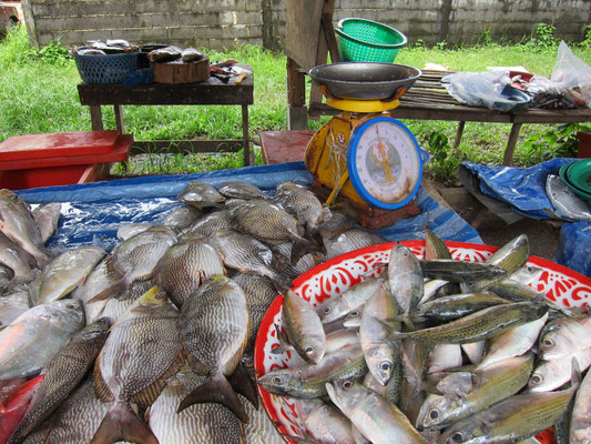 Bang Niang Market