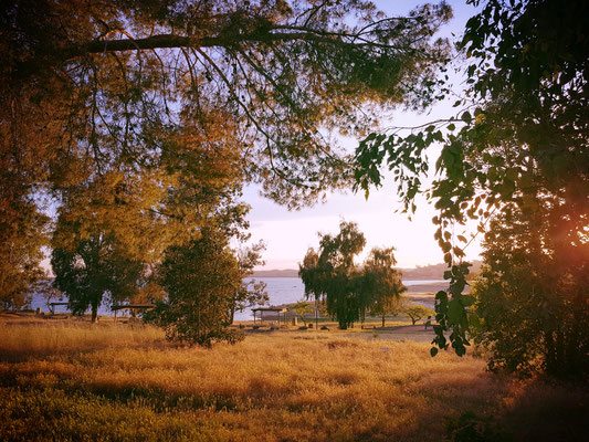 Millerton Lake Meadows Campground