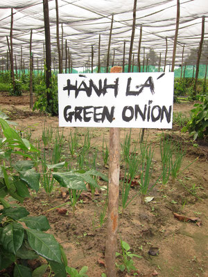 Pepperfarm Phu Quoc