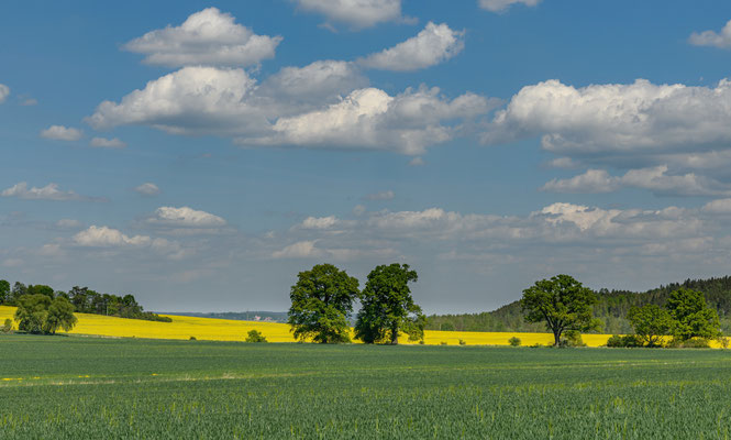 campagne arbres traçabilité