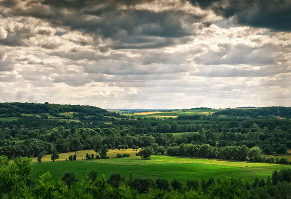 haie bocagère paysage