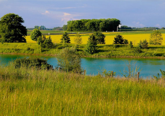 terrain haie bocagère