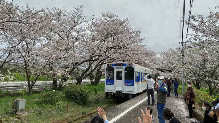 21浦ノ崎駅桜レポート トップページ