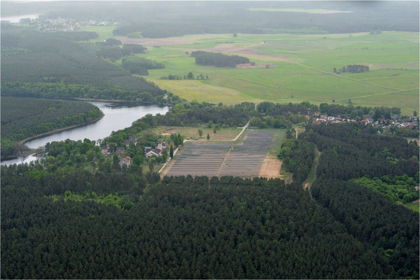 Domjüch