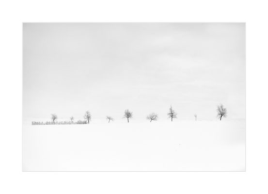 Winterland - 01