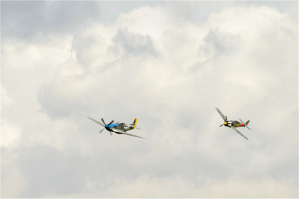 Dogfight