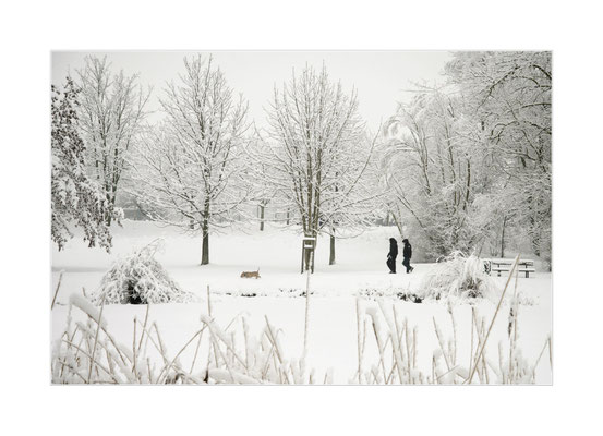 Winterland - 05