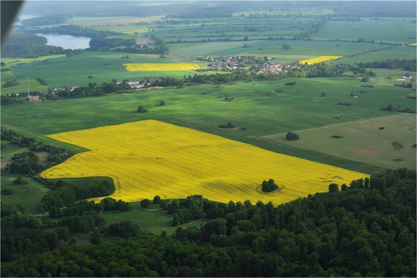 Neuhof