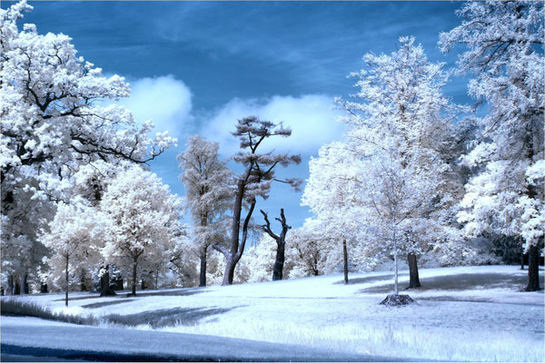 Lennepark  (Infrarot)
