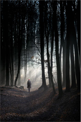 Waldspaziergang
