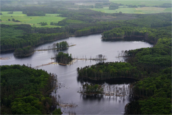 Serrahn Schweingartensee
