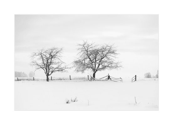 Winterland - 04