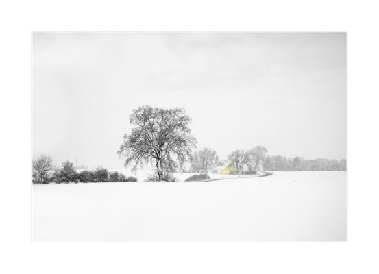 Winterland - 02
