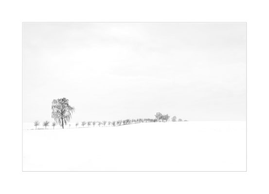 Winterland - 03