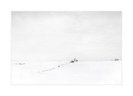 Winterland - 08